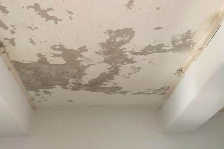 Comment traiter efficacement la moisissure et l'humidité au plafond : solutions et astuces