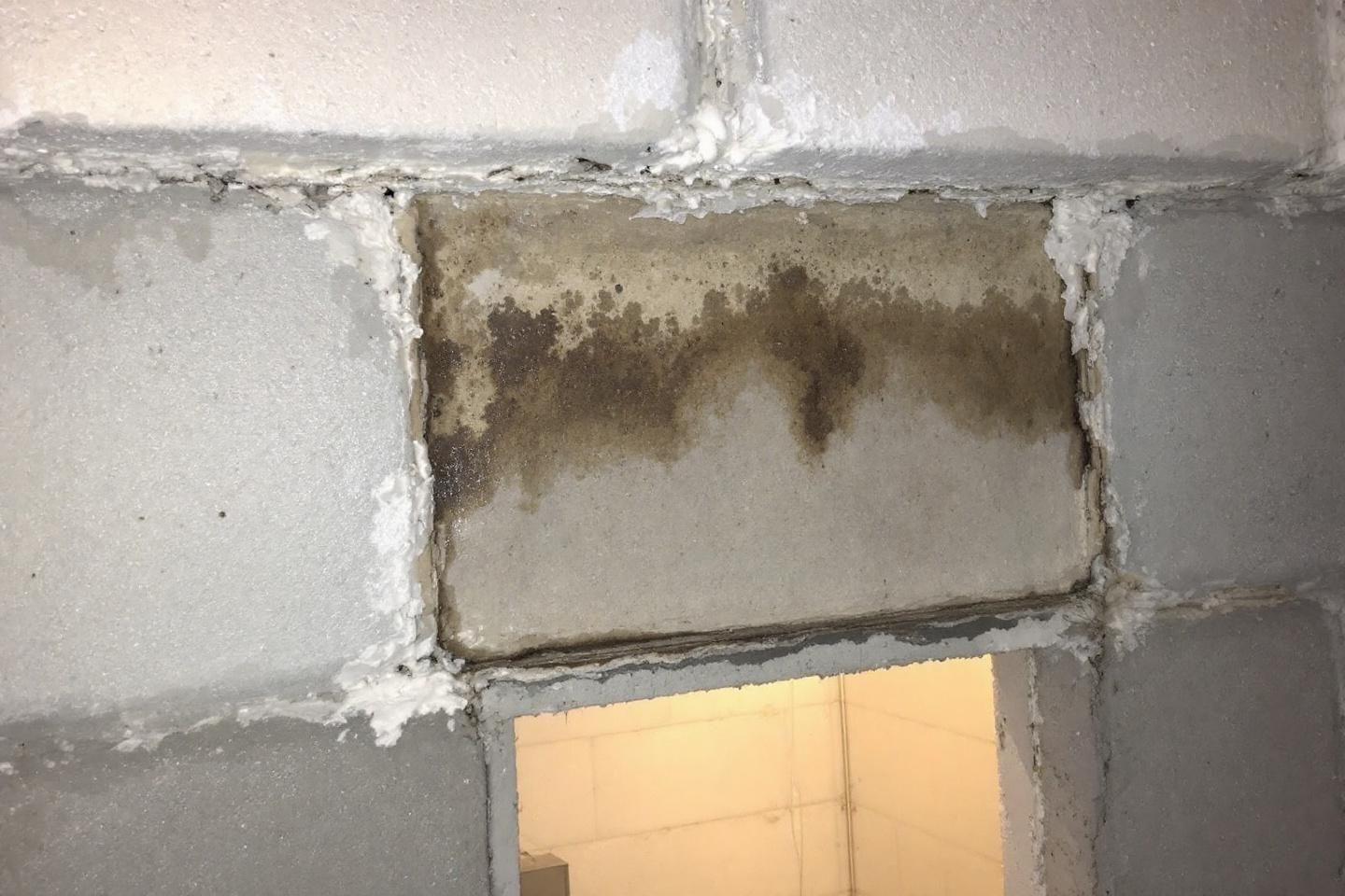 Salpêtre sur les murs : effets néfastes et solutions de traitement