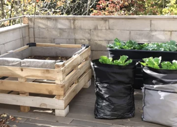 Potager surélevé pas cher avec palette de récupération, bac plastique sur pieds et sacs de culture sur une terrasse